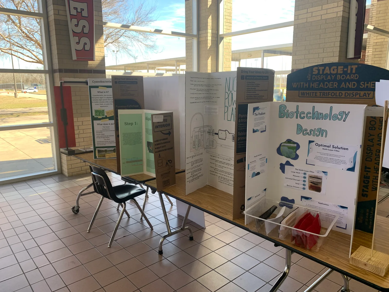 Biotechnology Design tri-fold boards set up for judging